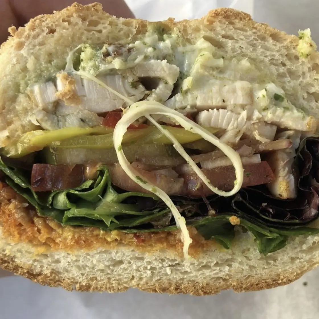 67b7423e4d056_F324CFD1-FFC5-48FE-BCE4-9FA4EC9DB809 A sandwich with meat, vegetables and pickles on it.
